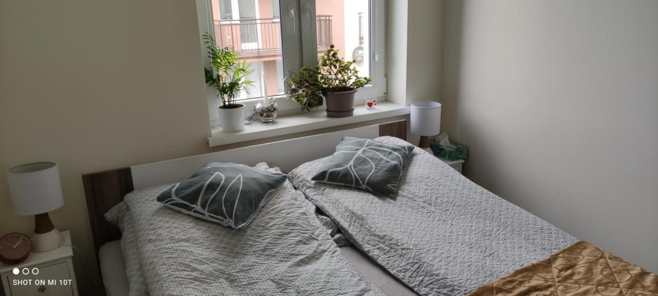 Apartament W Spokojnej Lokalizacji Cieplewo Eksteriør billede